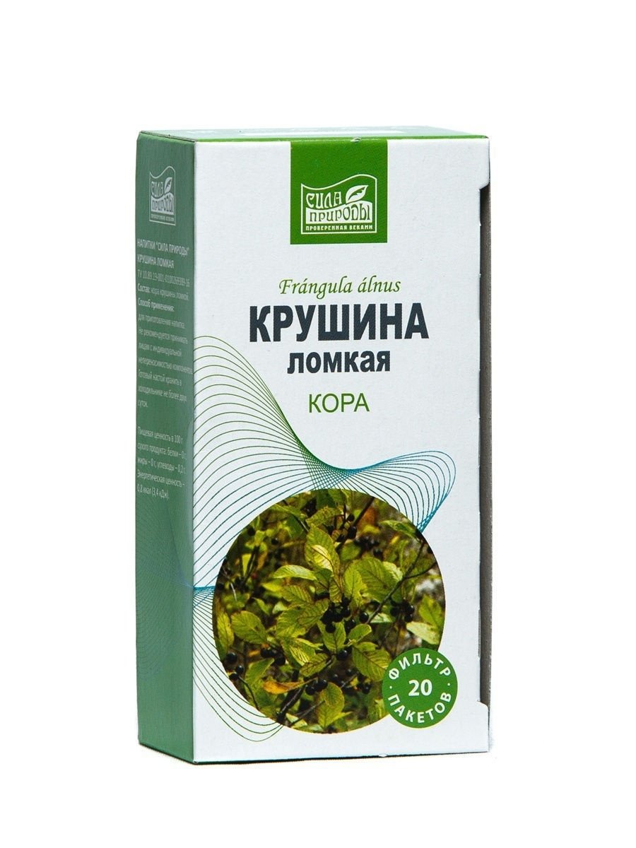 Кустарник Крушина ядовитый?