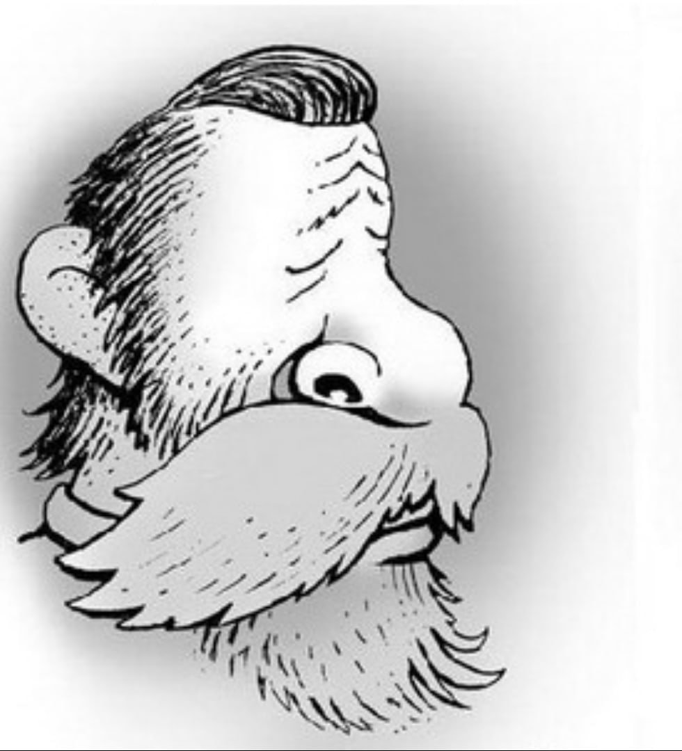 Перевёртыши иллюзии Валентин Дубинин