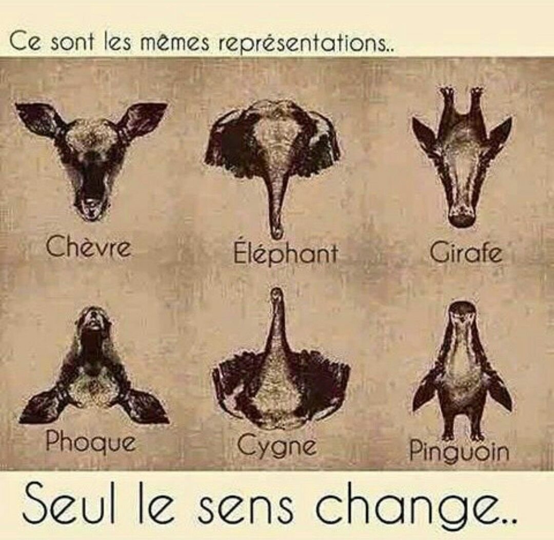 Оптические иллюзии перевертыши