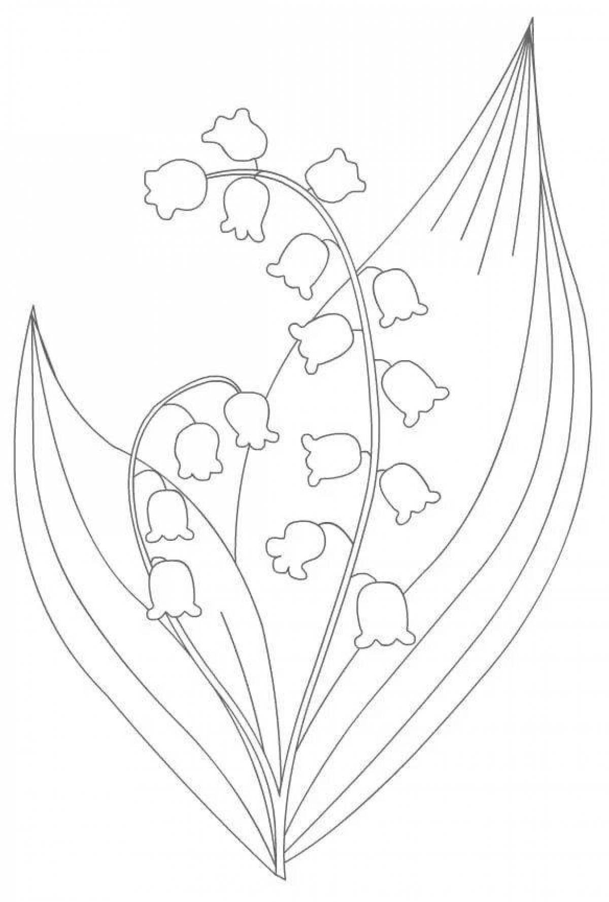 Ландыш Майский