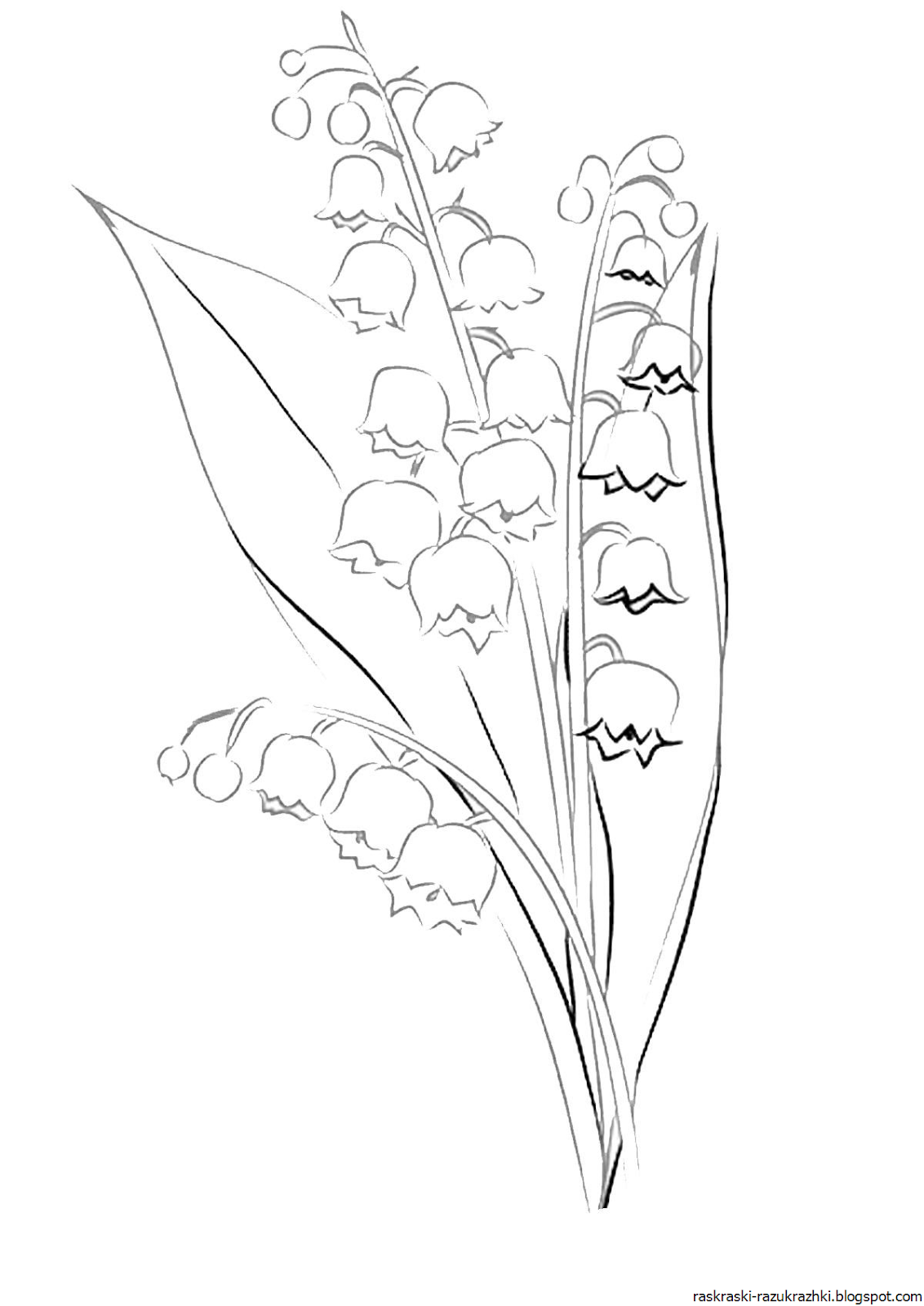 Ландыш рисунок