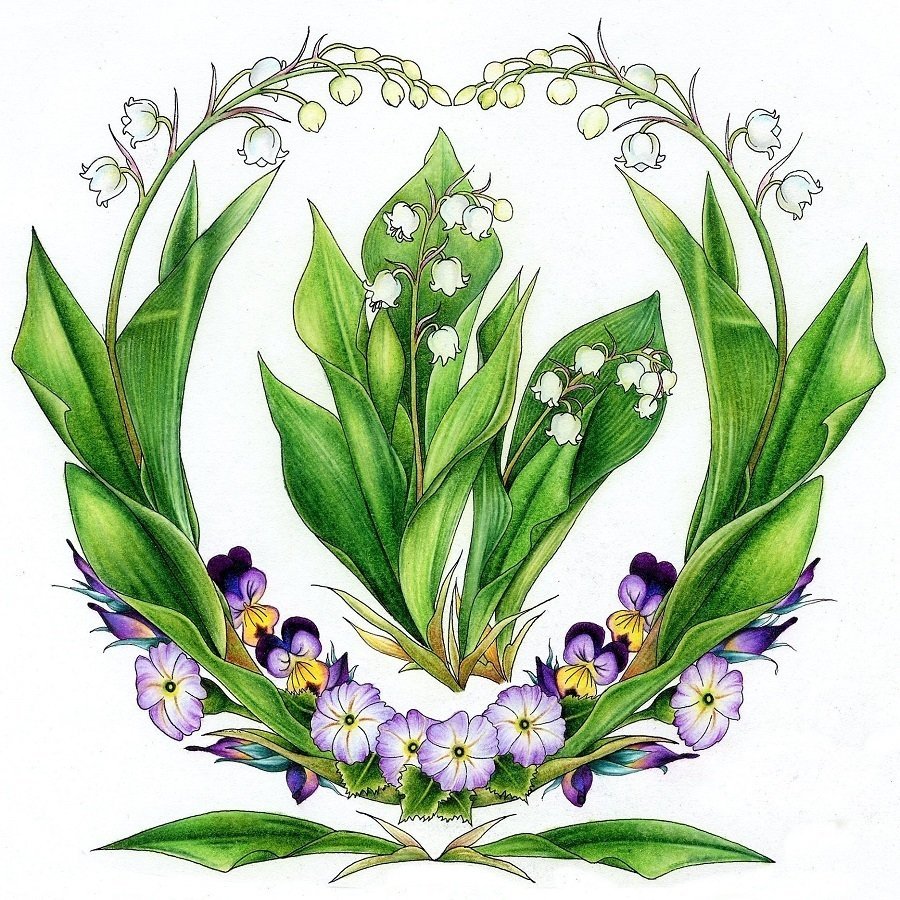 Цветок ландыш картинка для детей