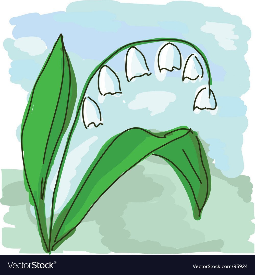 Ландыш Майский ядовитый