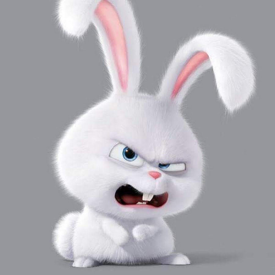 Зайка плачет