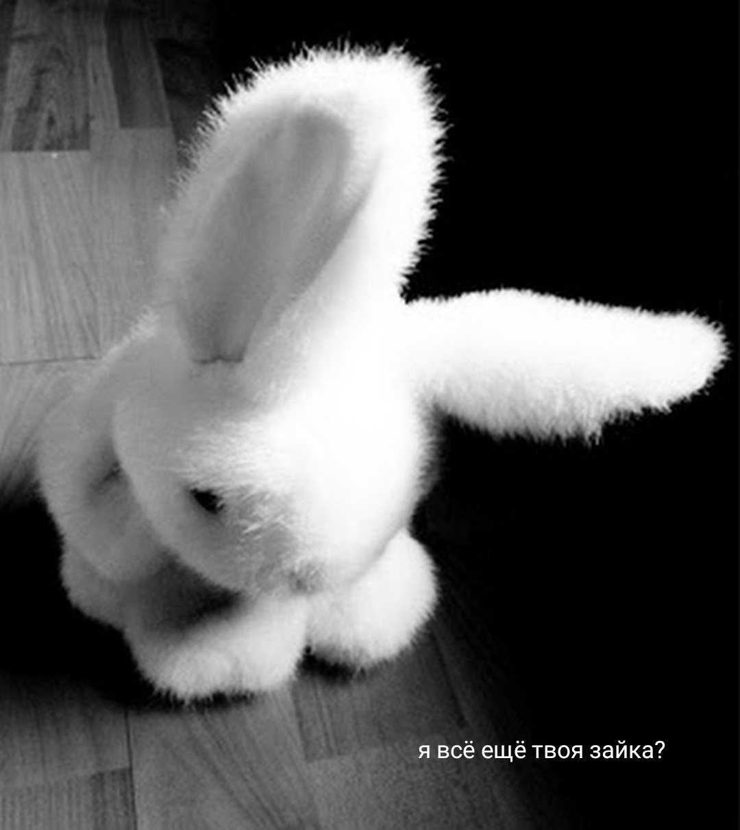 Зайка обиделась