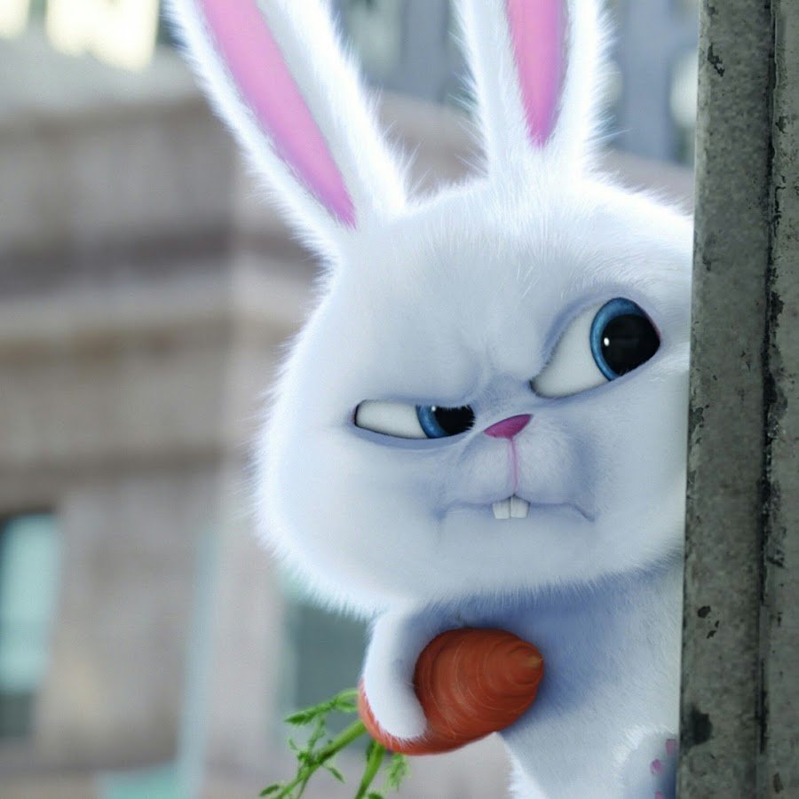 Заяц плачет