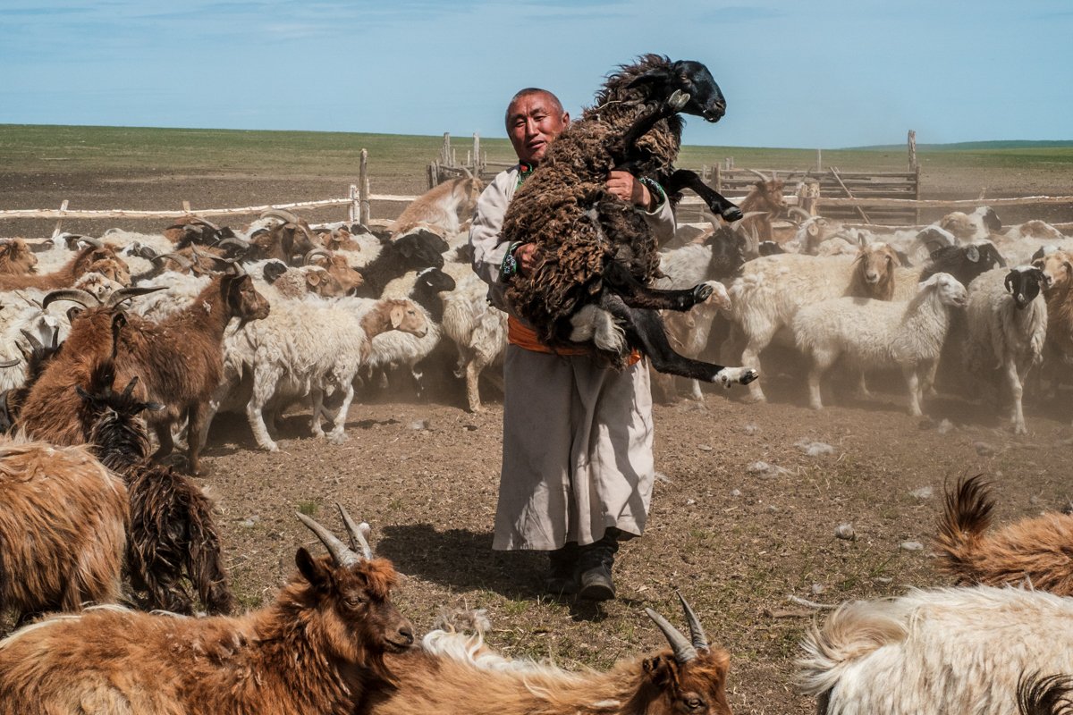 Северная Каролина сельское хозяйство