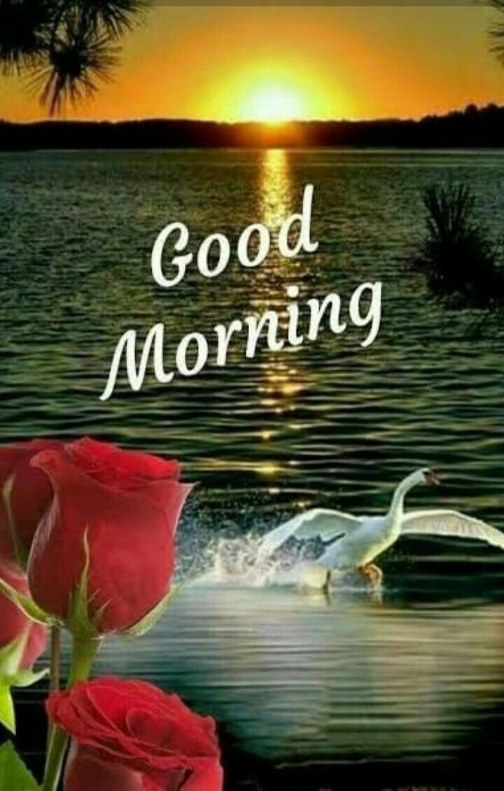 Завтра новый день