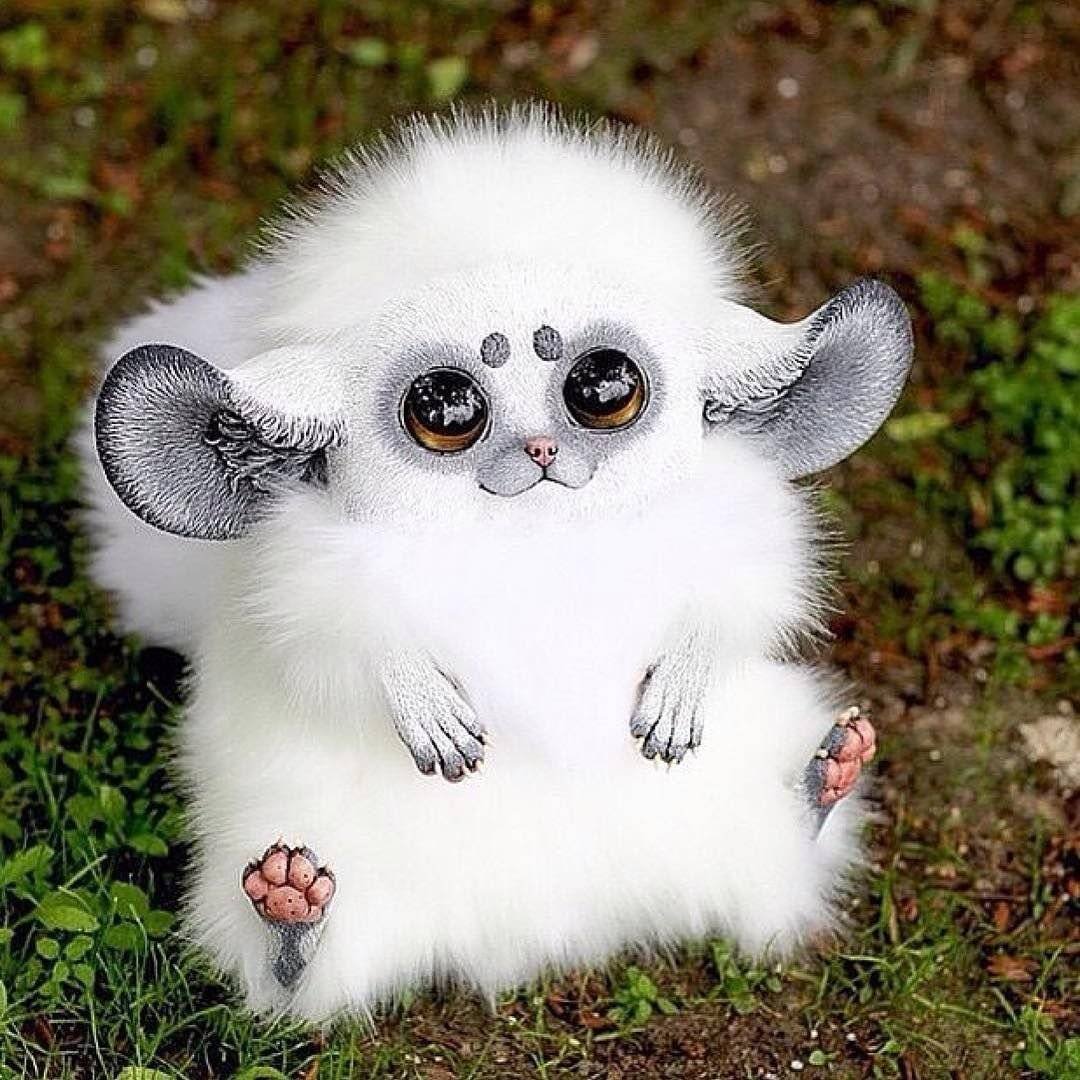 Игрушки Santaniel Inari Foxes