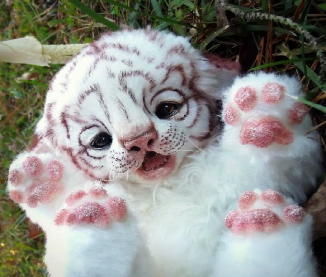 Милые зверьки