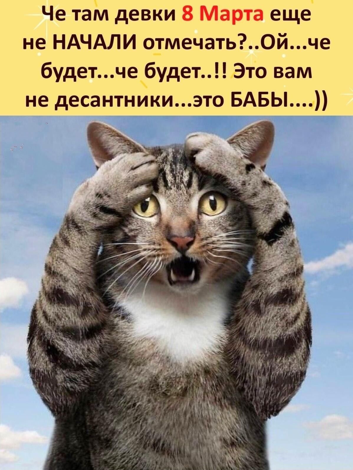 Удивленный кот