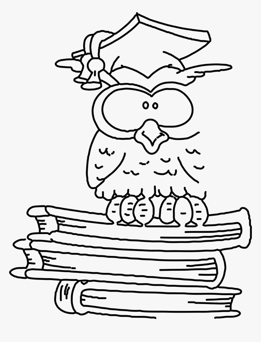 Сова с книгой раскраска