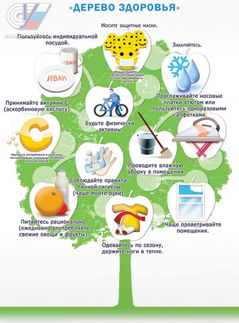 Дерево здоровья