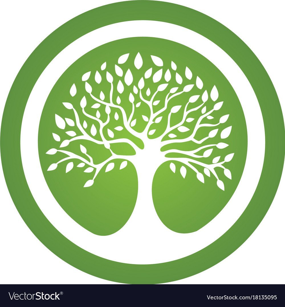 Схематическое дерево