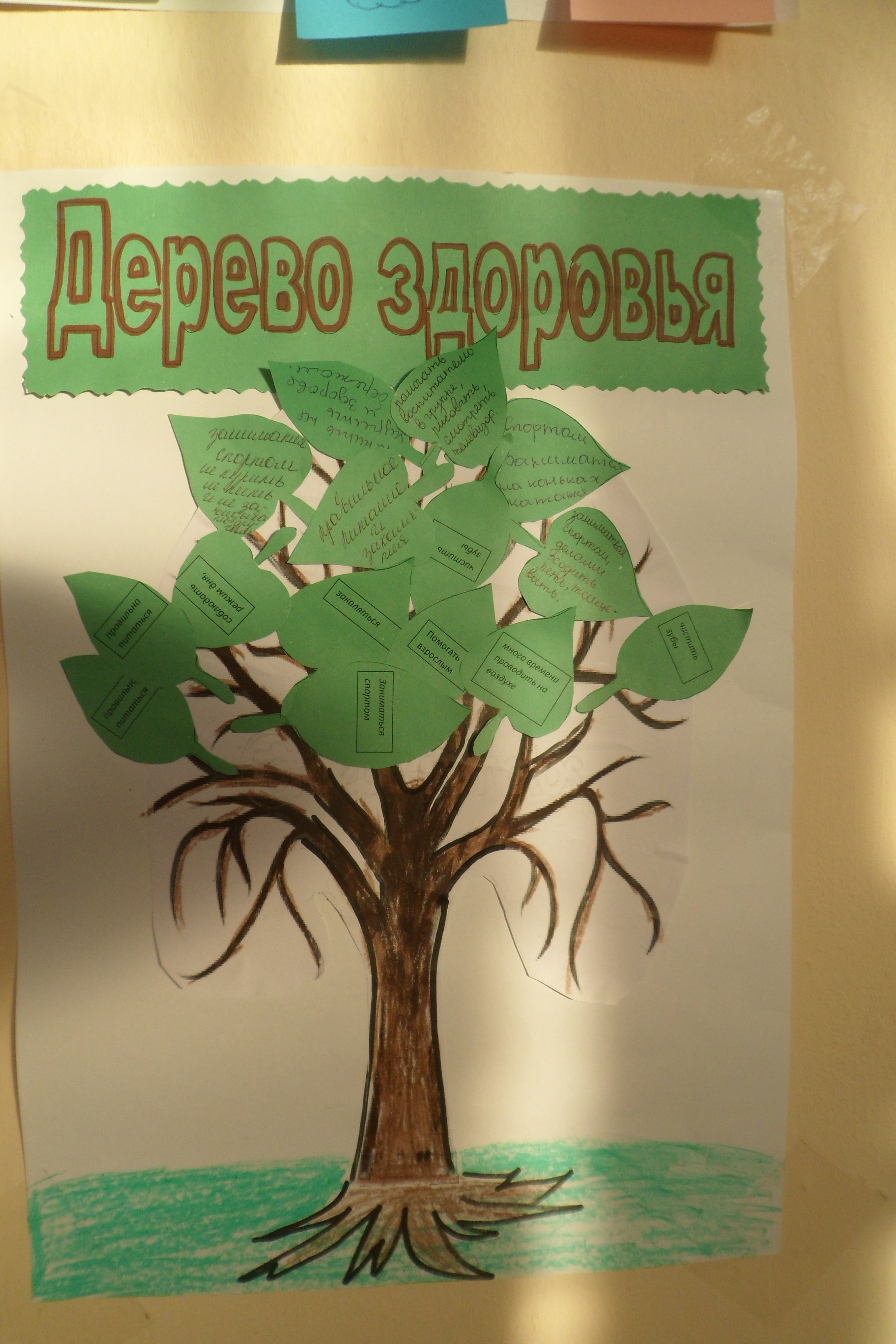 Дерево здоровья в детском саду. Дерево здоровья для дошкольников. Дерево здоровья рисование. Плакат дерево здоровья.