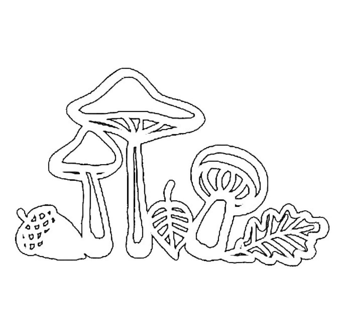 Осенние вытынанки