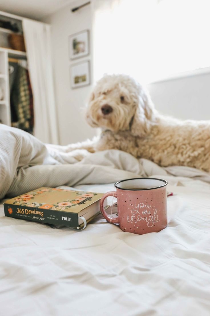 Доброе утро с котом и кофе