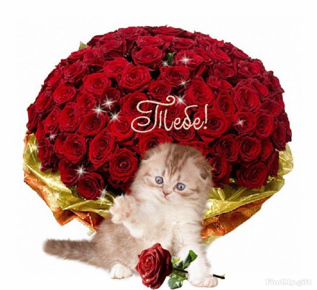 Цветы для друзей с пожеланиями