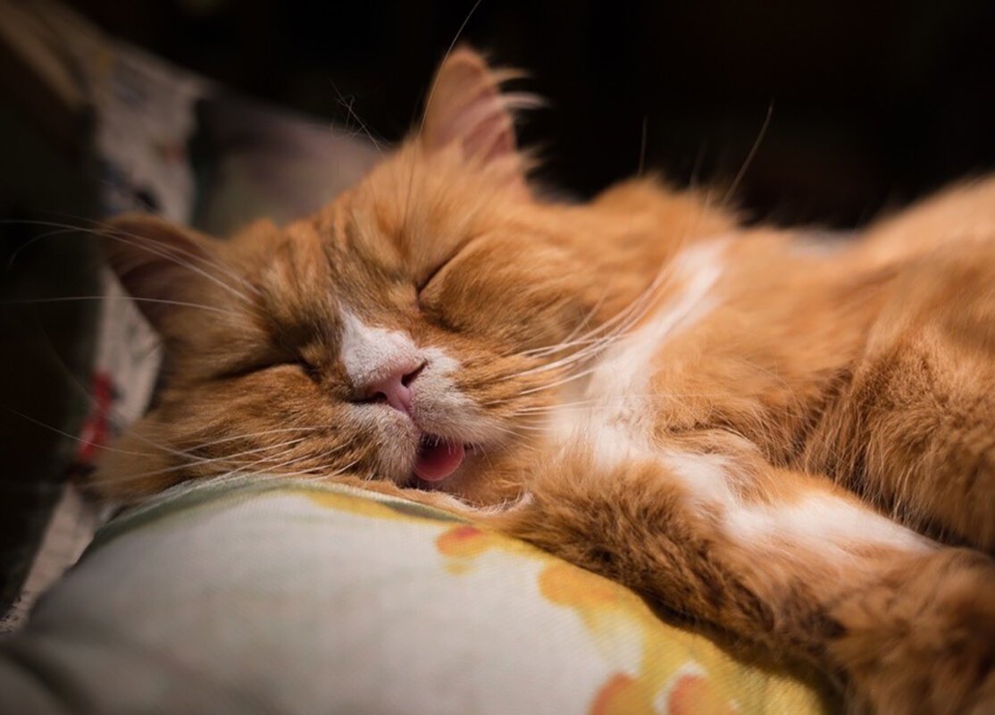 Необычные пожелания с добрым утром