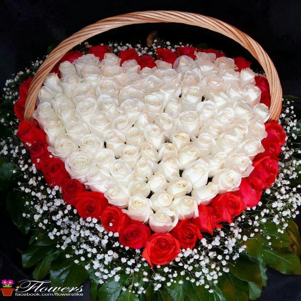 Розы для Анечки