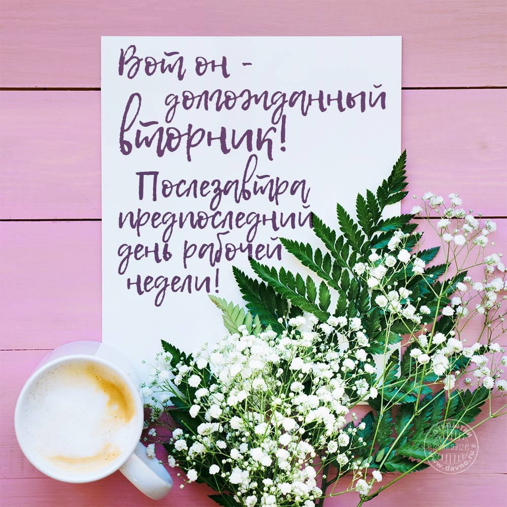 Понедельник доброе утро смешные креативные