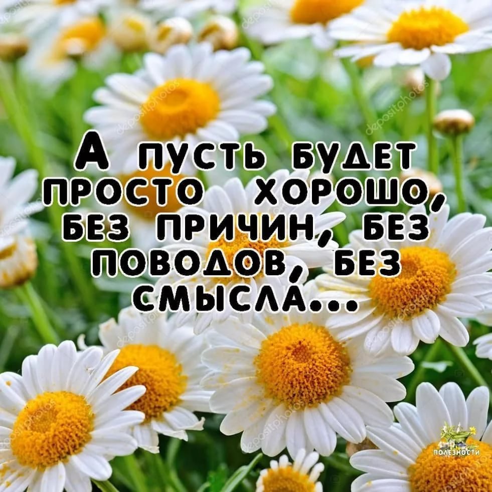 Хорошей недели