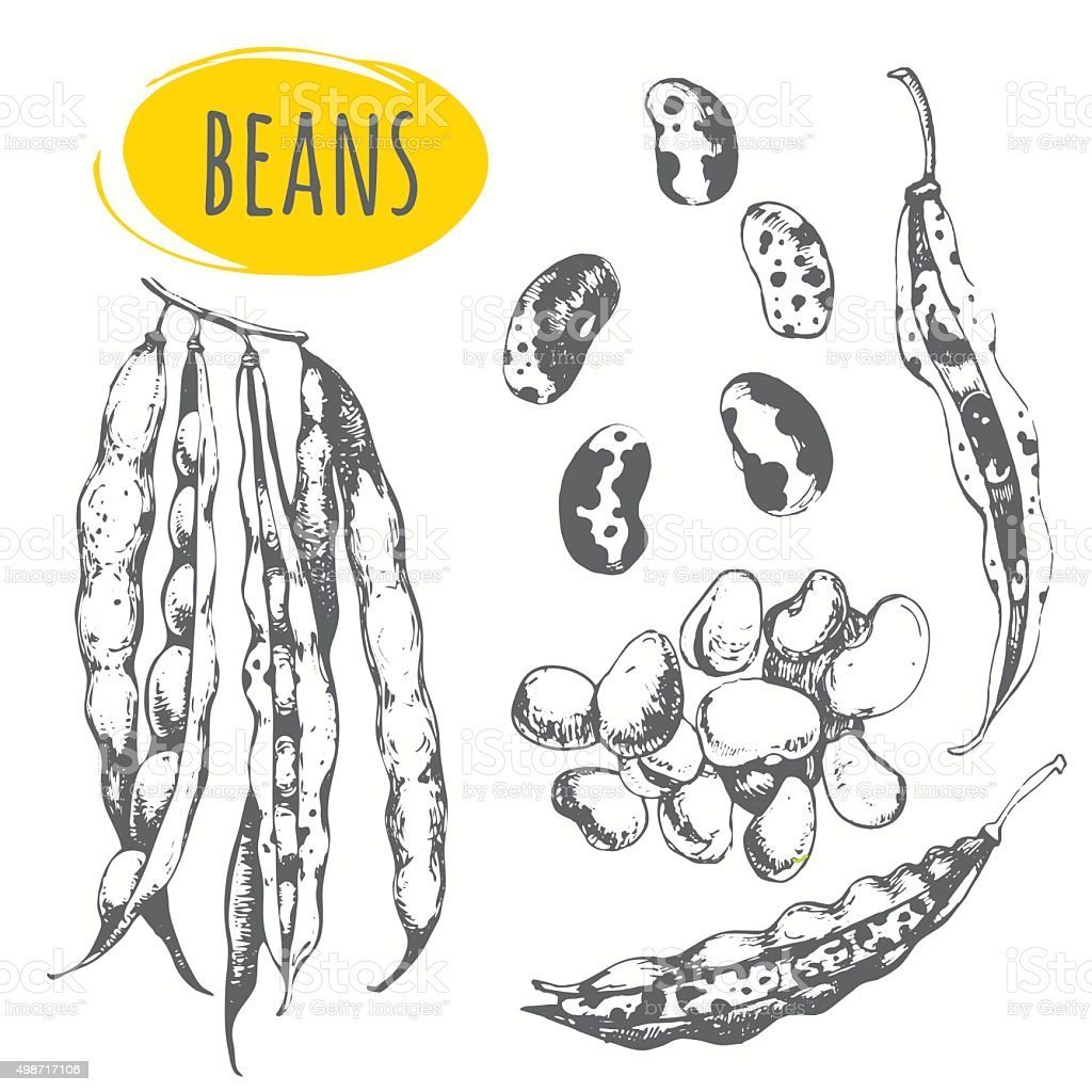 Горох Менделя