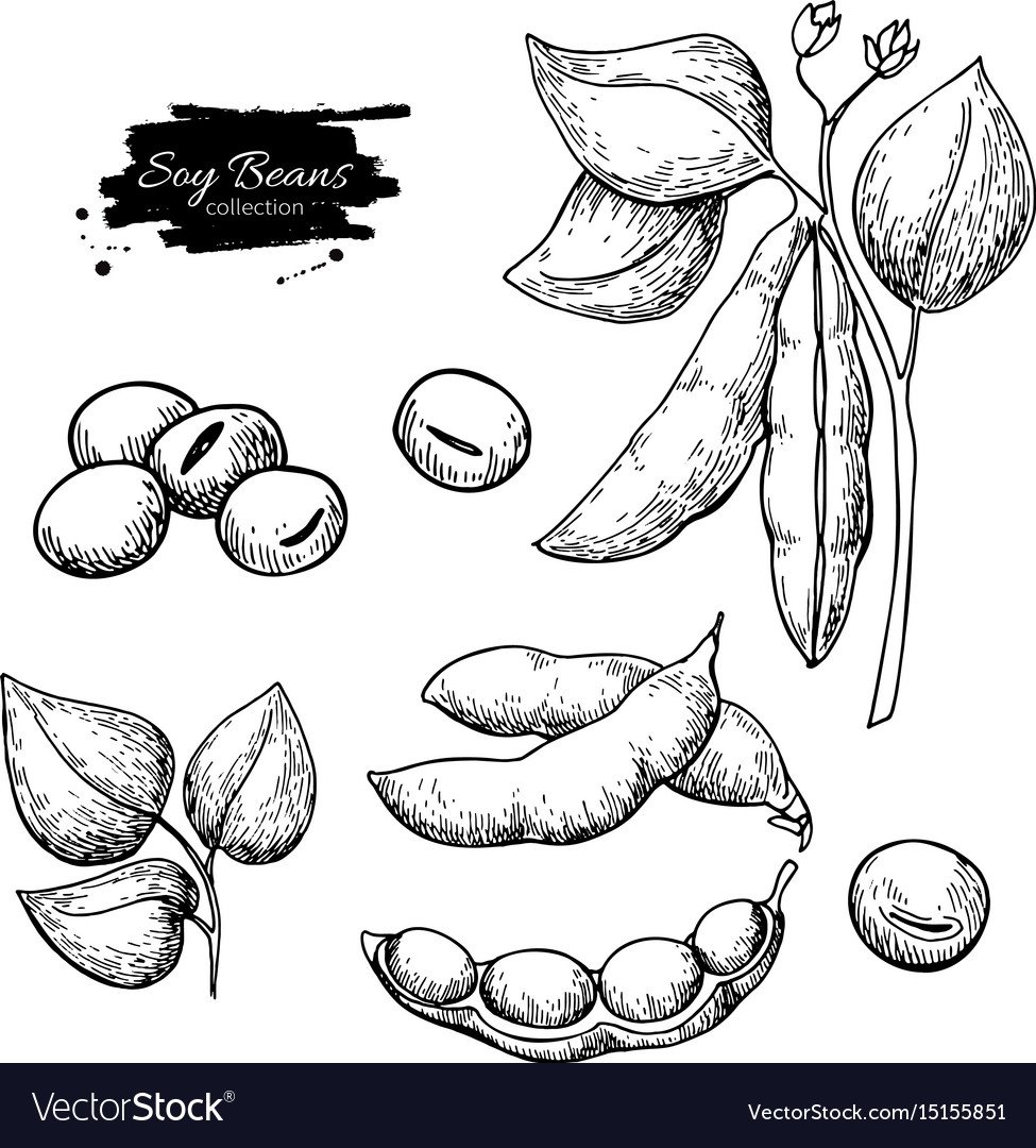 Beans мультяшные