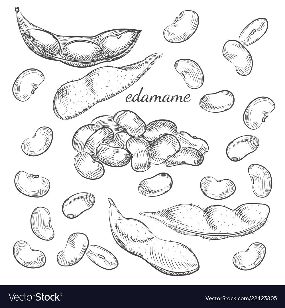 Рисование фасоли и гороха