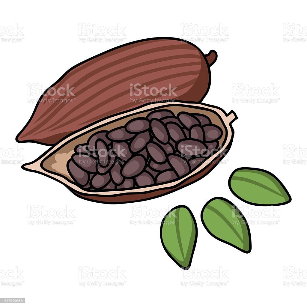 Шоколад Бобы вектор