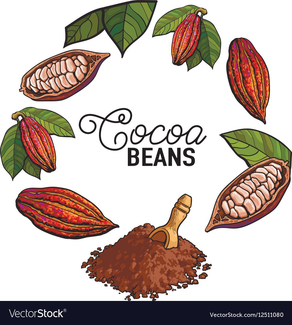 Бобы эдамаме Виктория