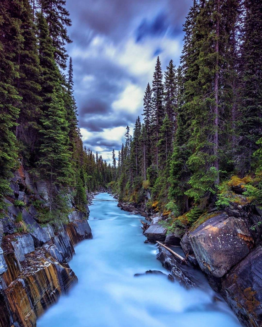 Леса Канады