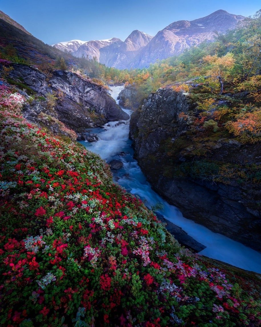 Красивая природа