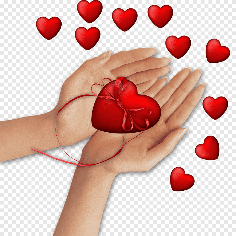 Сердце в ладошках