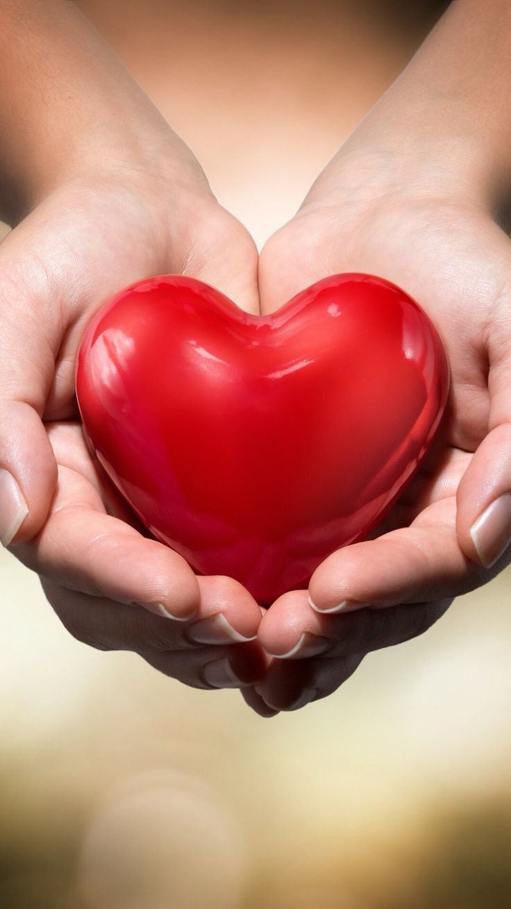 Солнце на ладони