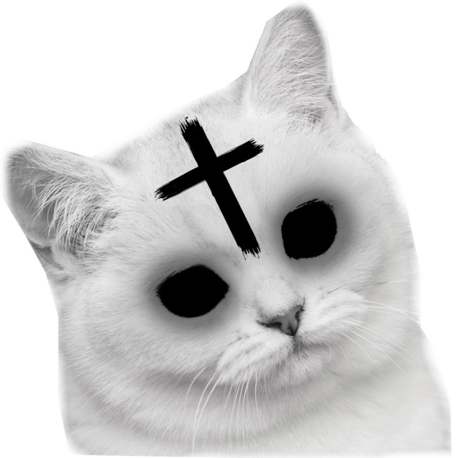 Кот с крестом на лбу