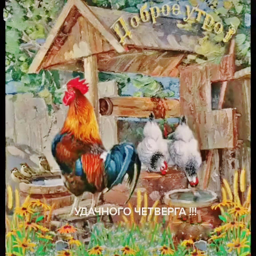 Завтрак в поле