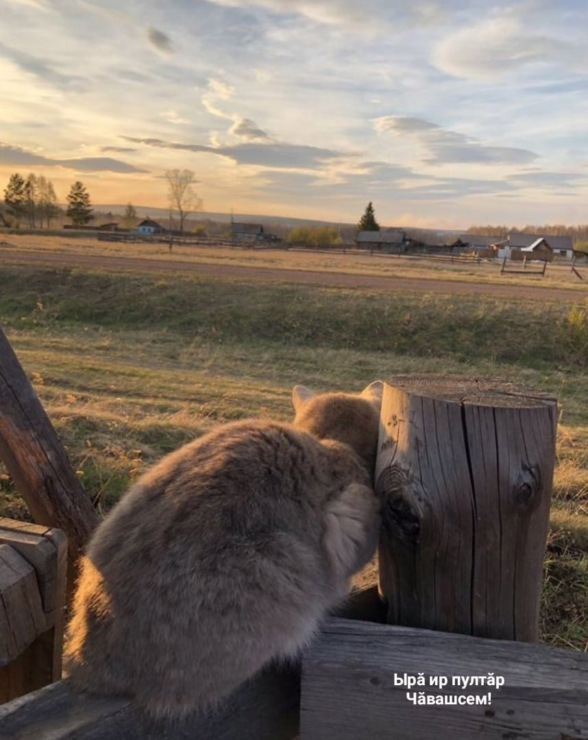 Деревня Кейзики
