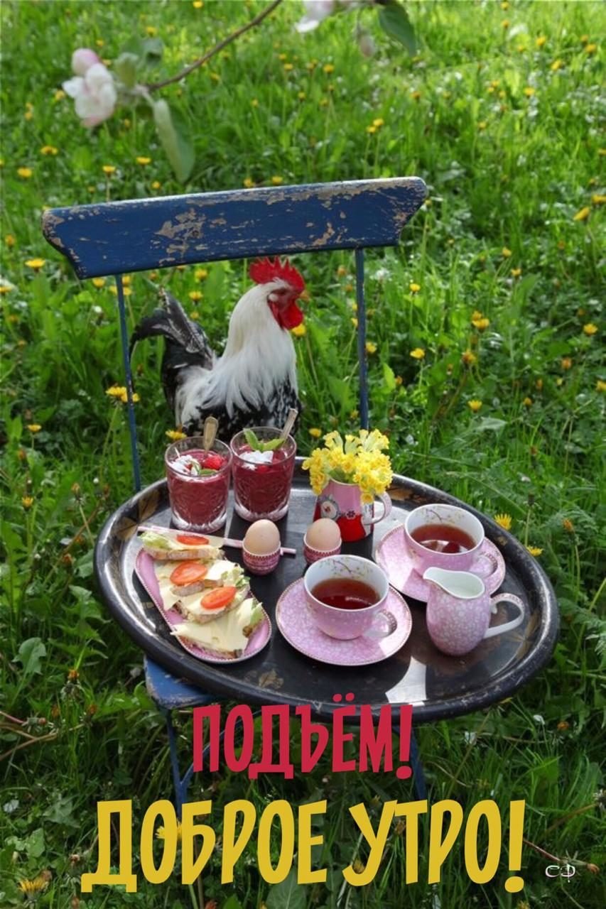 Деревня летом