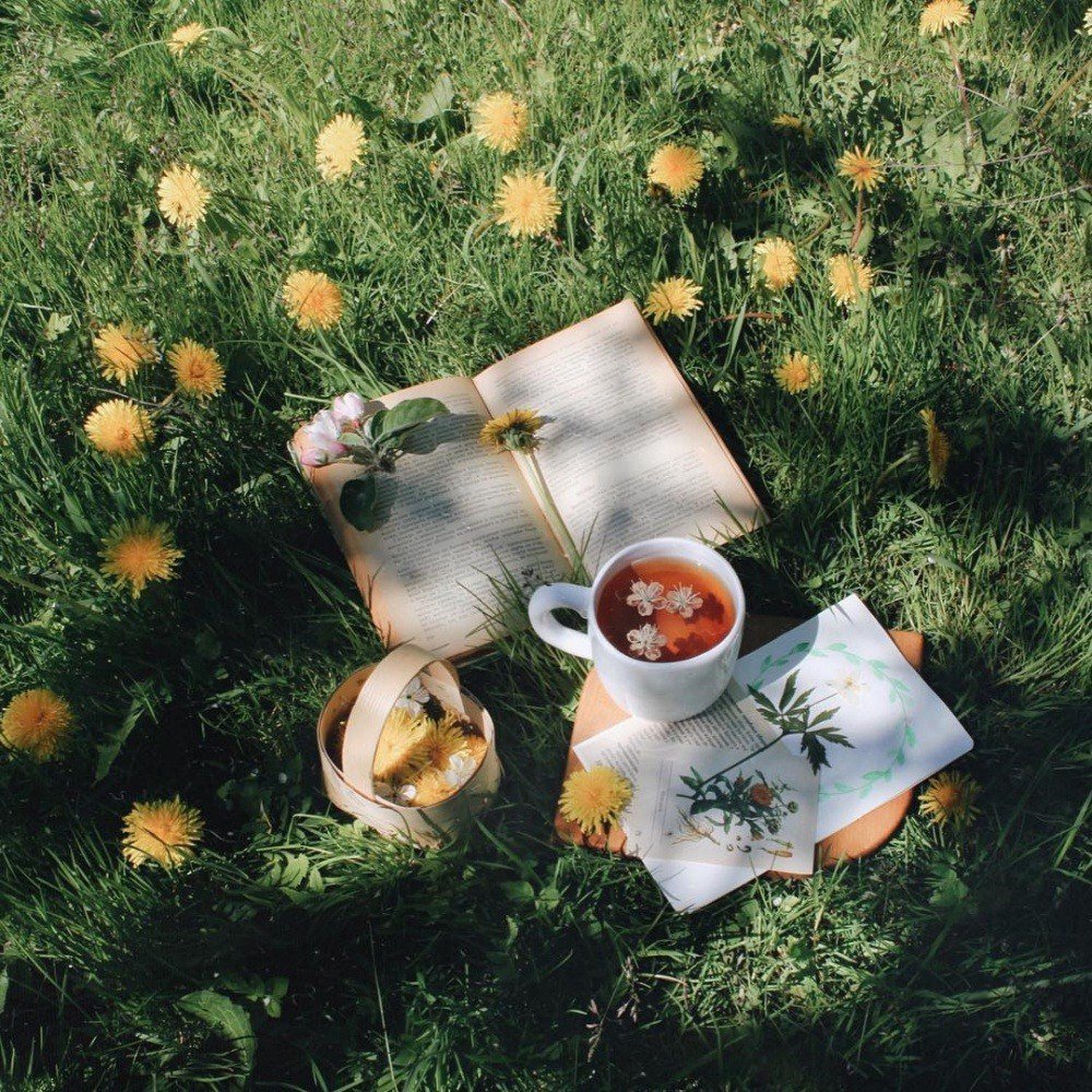 Доброе утро в деревне