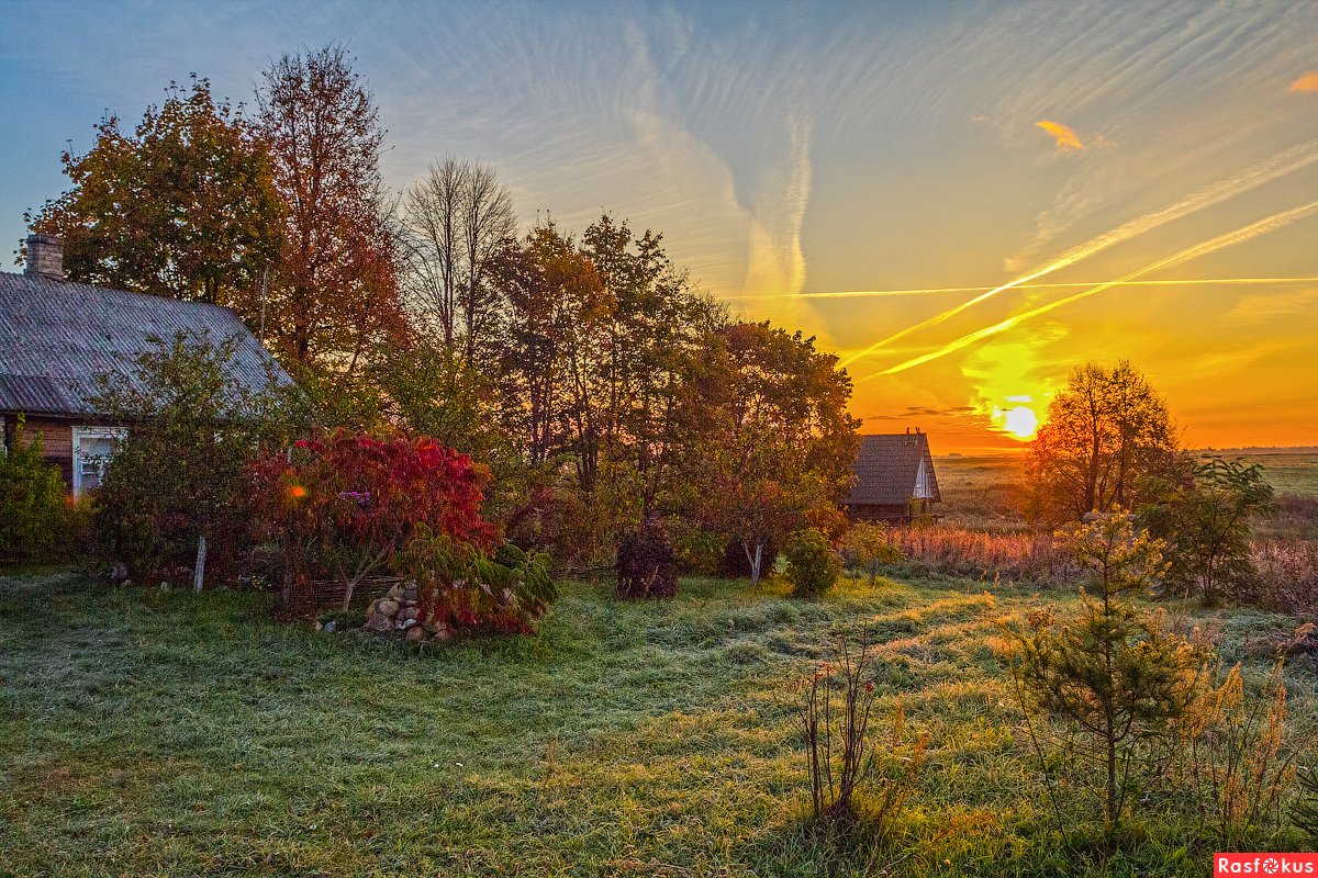 Натюрморт в деревенском стиле