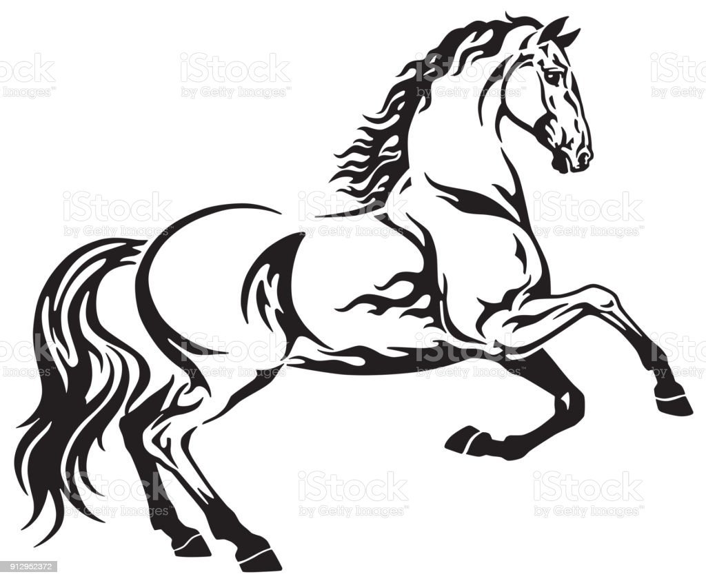 Конь ч/б вектор