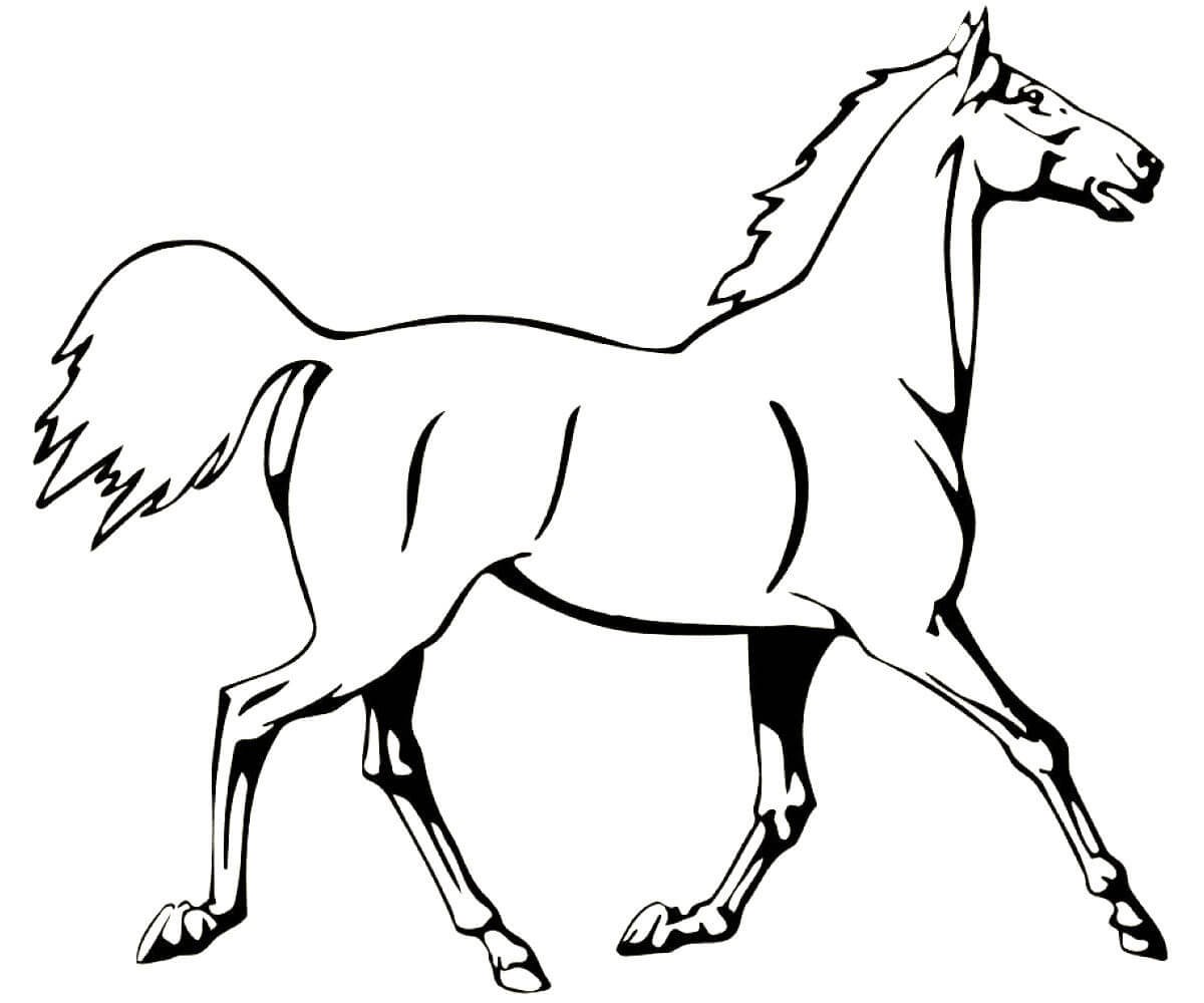 Раскраска. Лошадка