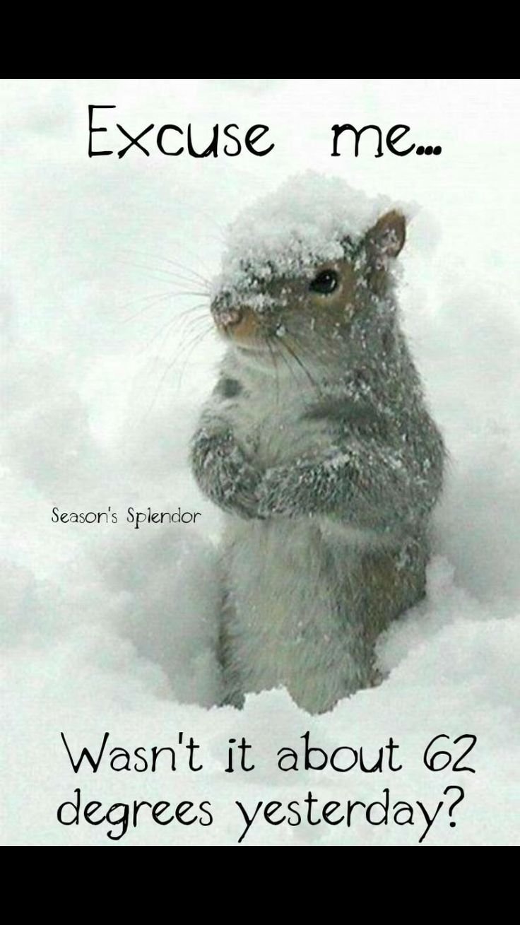 Мемы про зиму