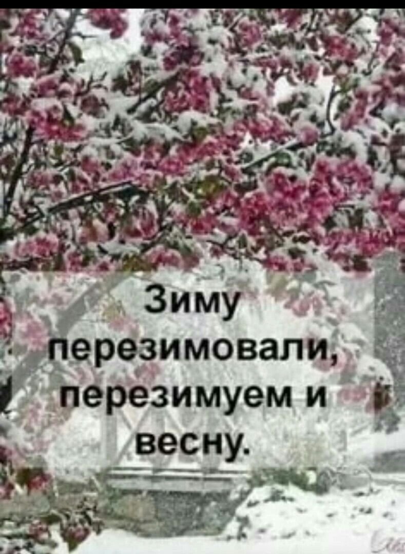 Приколы про снег