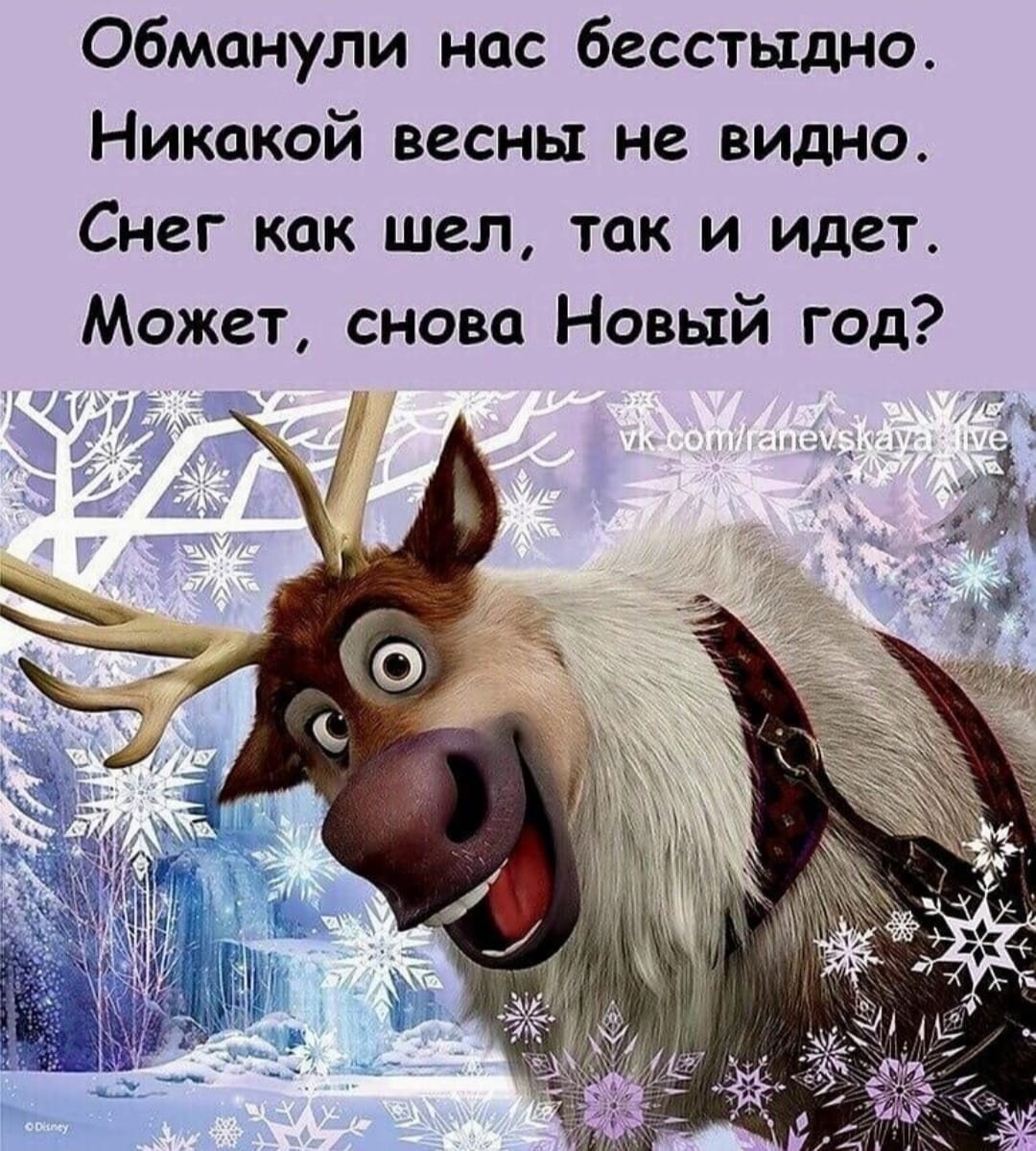 Приколы про зиму