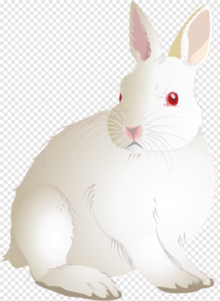 Белый зайчик