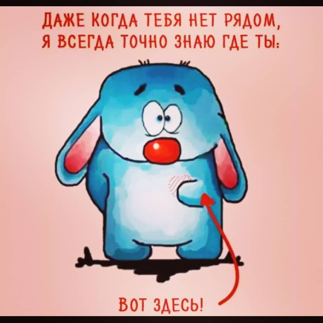 Крошка ши с добрым утром