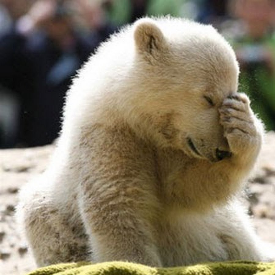 Мышка скучает