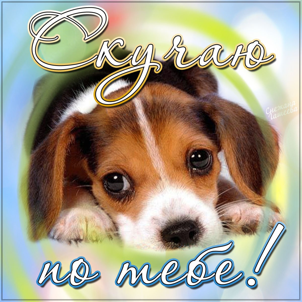 Соскучилась картинки с надписями